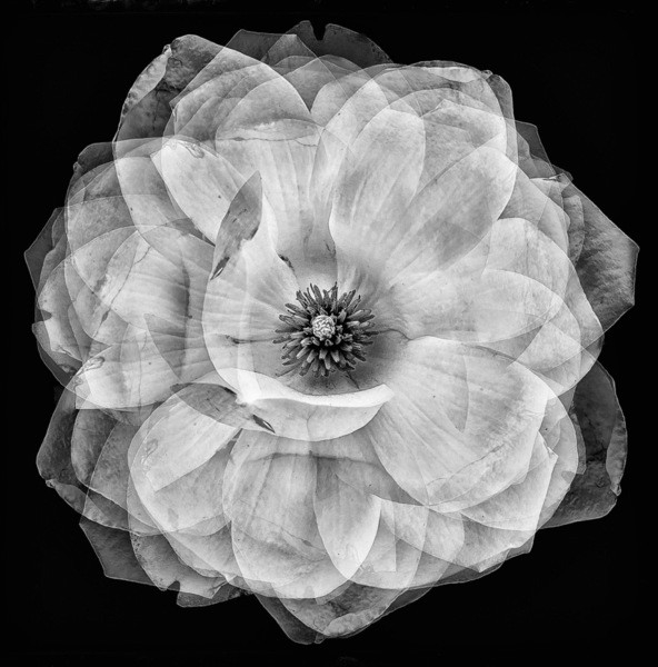 Photograph Iuliia Akhulkova Layered Beauty on One Eyeland